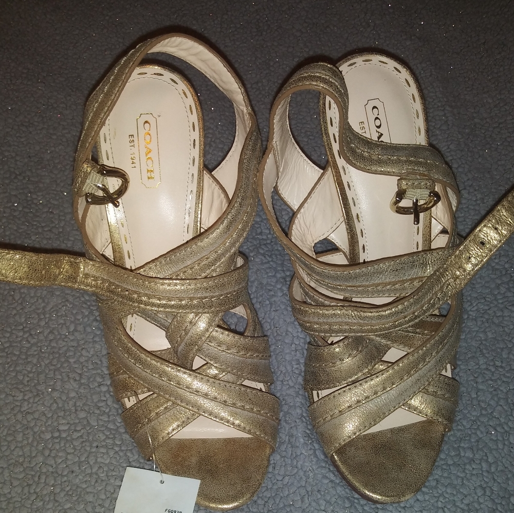 Gold Coach Size 10 Heel